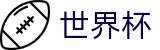 2026世界杯官网(SHIJIEBEI2026)世界杯赛事专区